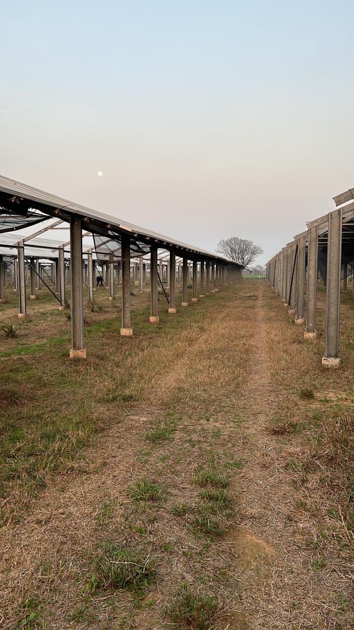 Completed module rows carried on precast concrete posts at dusk